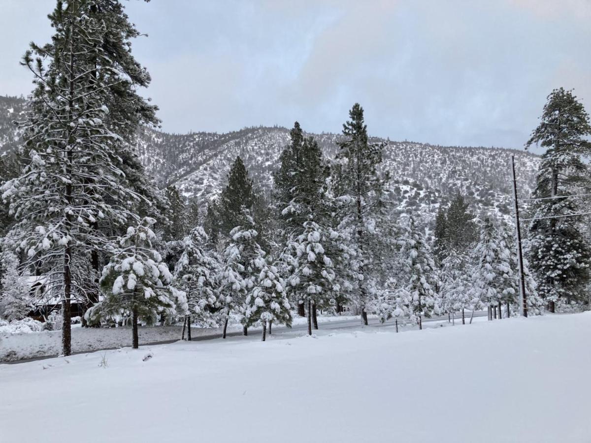 The Old Bear Bnb Pine Mountain Club Экстерьер фото
