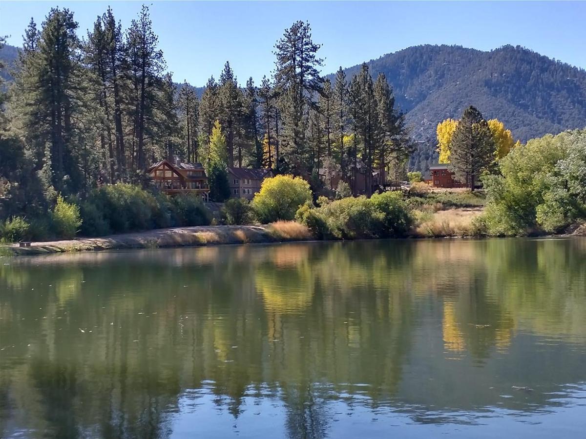 The Old Bear Bnb Pine Mountain Club Экстерьер фото