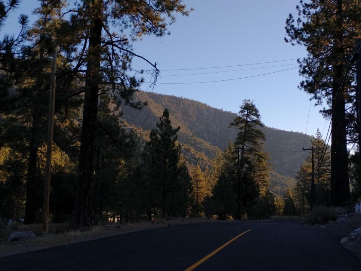 The Old Bear Bnb Pine Mountain Club Экстерьер фото